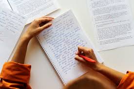 Essay Writing Coach